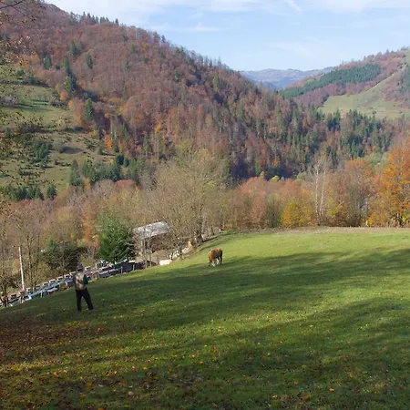 Kings Valley - Sunny Botesti
