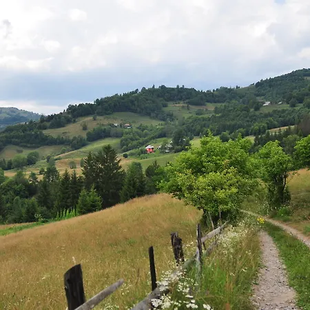 Kings Valley - Sunny Botesti Cîmpeni