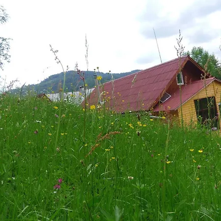 Gasthuis Kings Valley - Sunny Botesti Cîmpeni